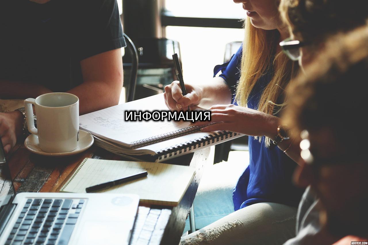 Изучение инновационных бизнес-идей: путь к предпринимательскому успеху