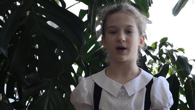 Баркова Вероника Ф.И.Тютчев "Летний вечер" смотреть онлайн