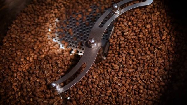 caffe d'bolla World Class Siphon-brewed Single Origin Coffee смотреть онлайн
