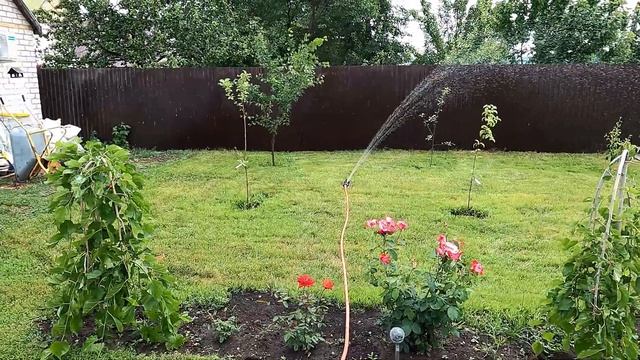 Сенокос, полив и краска ( стрижка газона и покрытие столешницы лаком) смотреть онлайн