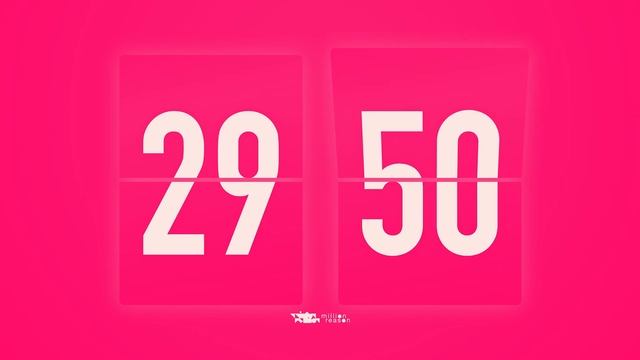 60 Minutes ( 1 Hour ) Flip Clock Timer / With Vibration Beeps ?