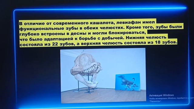 Левиафан-Гроза Морей и Океанов смотреть онлайн