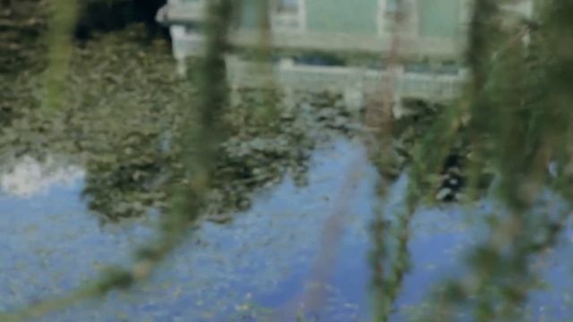 Свадебная видеосъёмка МОСКВА смотреть онлайн