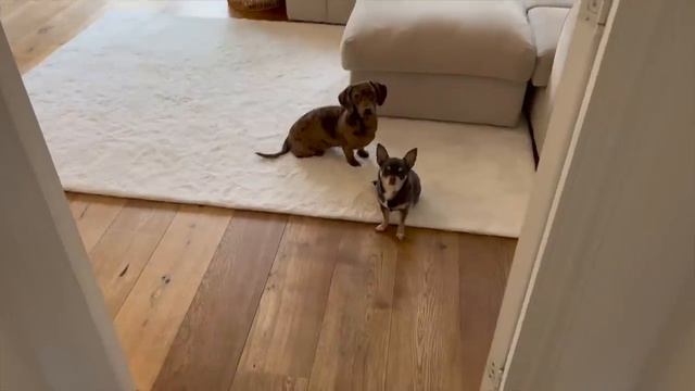 FULL HOUSE TOUR | Affordable Interior | Beige, Gold & White Decor | 3 Floor House! смотреть онлайн