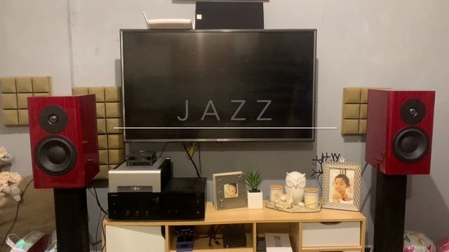 Dynaudio Special 40 vs Dali Rubicon 2 (6-song comparison) смотреть онлайн