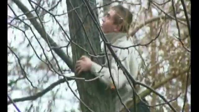 Супер Спасатель кошки смотреть онлайн