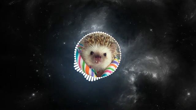 Музика для колонки смотреть онлайн