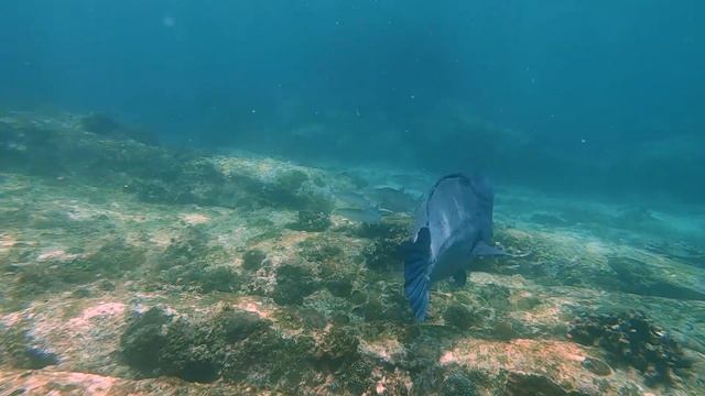 Seychelles, Mahe, Takamaka смотреть онлайн