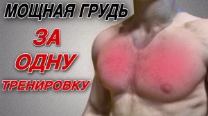 ГРУДНЫЕ МЫШЦЫ|4 БАЗОВЫХ УПРАЖНЕНИЯ НА ГРУДНЫЕ МЫШЦЫ В ТРЕНАЖЕРНОМ ЗАЛЕ