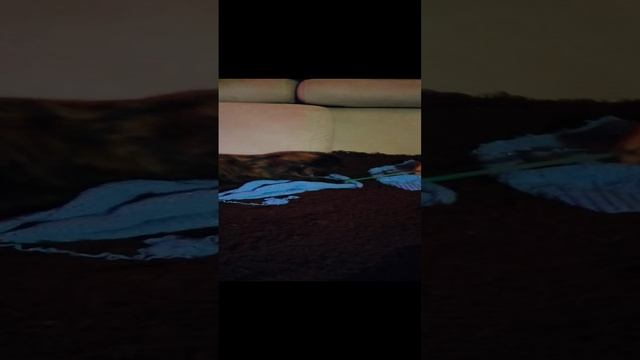 Добрая! Нежная кошечка Марфушка! смотреть онлайн