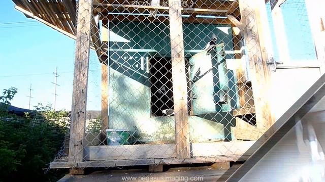 Голуби Нижний Новгород Горьковские чистые 2 смотреть онлайн