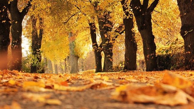 【ピアノ】ギロック　秋のスケッチ（Autumn Sketch）piano cover смотреть онлайн