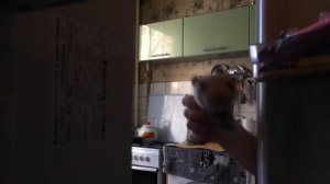 А я не понял?! Что вы делаете в моем холодильнике? / мем на новый лад