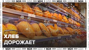 Россиян предупредили о возможном подорожании хлеба на 10%: «Актуальный репортаж» - Москва 24
