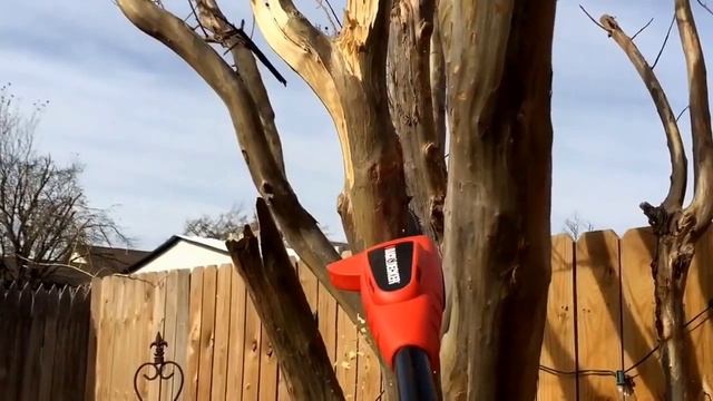 Black & Decker Pole Saw worked well!! смотреть онлайн