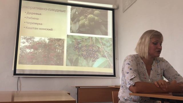 Озеленение двора в южном городе (Водяник Ирина) смотреть онлайн