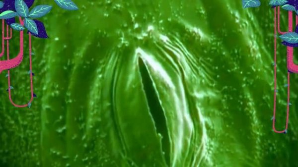 Устьица листа.Видео