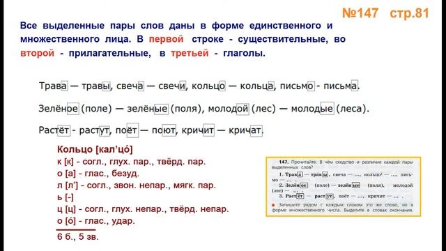 Руский язык учебник. 3 класс. Часть 1. Канакина Упражнение 147 смотреть онлайн