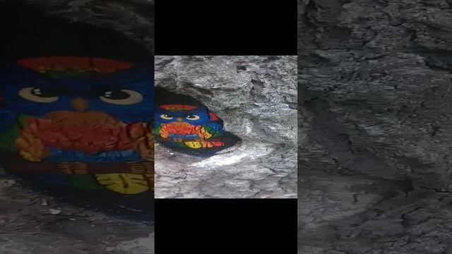 Ребенок дал название Софа 20220531 смотреть онлайн