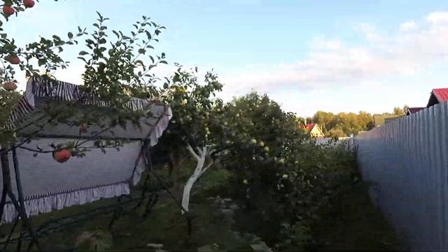 Дача Наро-Фоминск 2019 1 смотреть онлайн