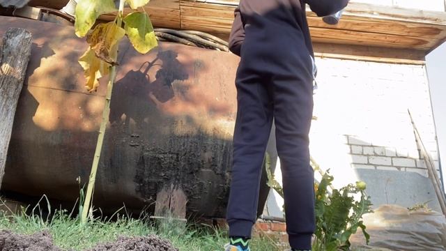 Граффити бомбинг, теггинг | деревня Trip