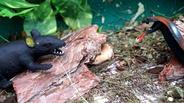 ДИНОЗАВР-СИРОТА!!! НЕ ЕШЬТЕ МЕНЯ!!! Приключение динозавра.Видео игрушки. Для детей смотреть онлайн