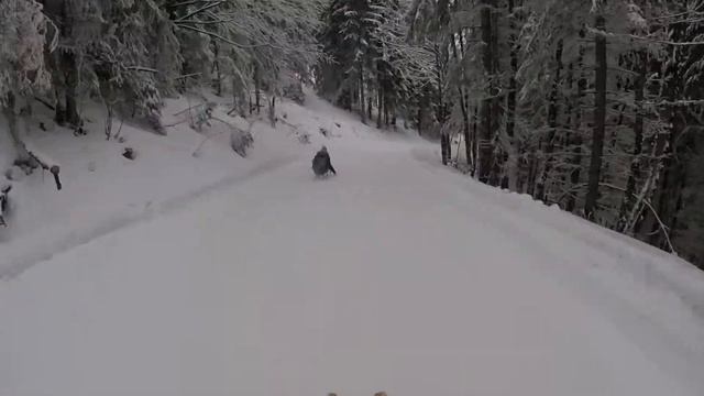 Катание на санках с высокой горы в Баварских Альпах