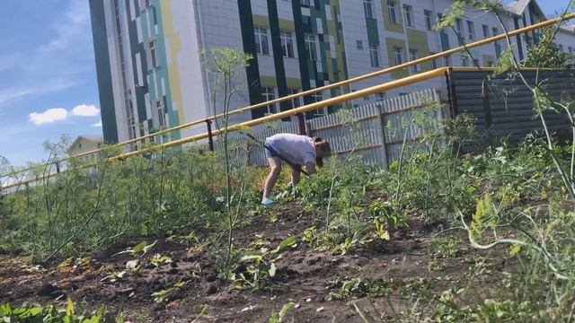 И что же делает жена дома одна? Обзор покупок на ВБ . Серия N 3 смотреть онлайн