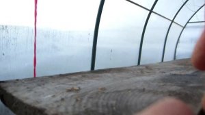 ДЕЛАЕМ ПРОСТЕЙШИЕ ПОЛОЧКИ в ПОЛИКАРБОНАТНУЮ ТЕПЛИЦУ для РАССАДЫ. СУПЕР ПРОСТО!!!