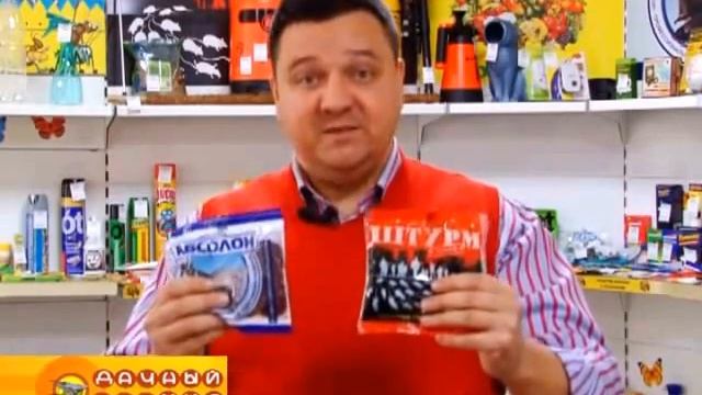 Дачный мир. 08 октября 2014г. Фрагмент