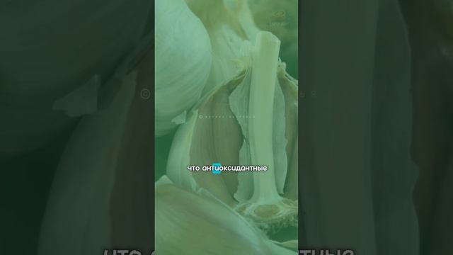 Что произойдёт с вашим телом, если вы будете употреблять чеснок каждый день? смотреть онлайн