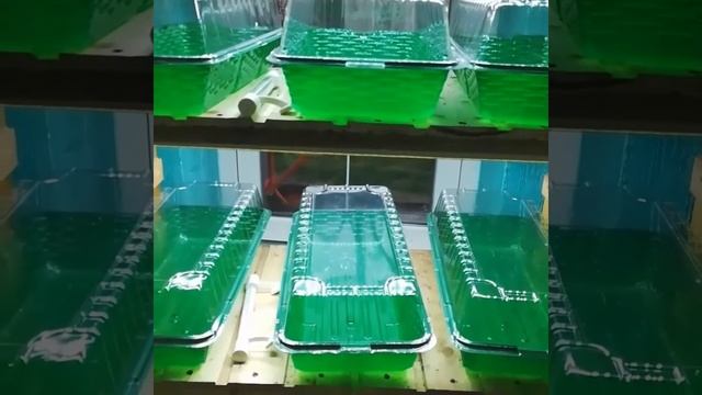 Универсальный проращиватель для семян и рассады смотреть онлайн