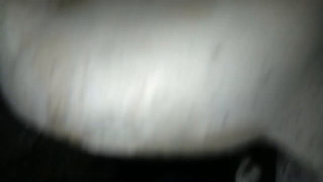 Номер двигателя посмотреть легко DAEWOO MATIZ смотреть онлайн