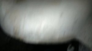 Номер двигателя посмотреть легко DAEWOO MATIZ