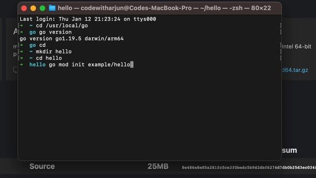 install GoLang on Mac M1/M2 ( Apple Silicon ) | "Hello, World!" using GO | GO on VSCode смотреть онлайн