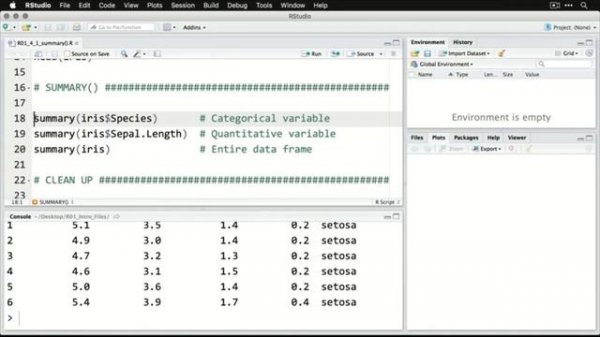 10 - Using Summary Function in R | R Programming Tutorial -Learn the Basics of Statistical Computin