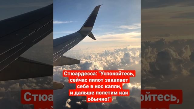 самолет анекдот #shots смотреть онлайн