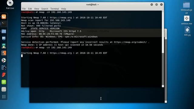 0Day IIS 2020 Exploit Python смотреть онлайн