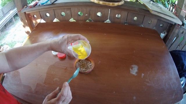 Медведка. КАК БОРОТЬСЯ С МЕДВЕДКОЙ