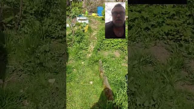 О чем молчат блогеры фермеры. Ролик для начинающих фермеров (птицеводах).