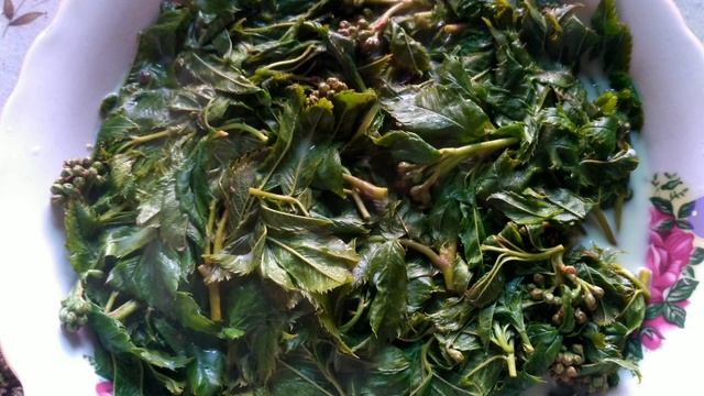 290. Ферментация трав на молоке. МОЛОЧНЫЙ ЧАЙ смотреть онлайн