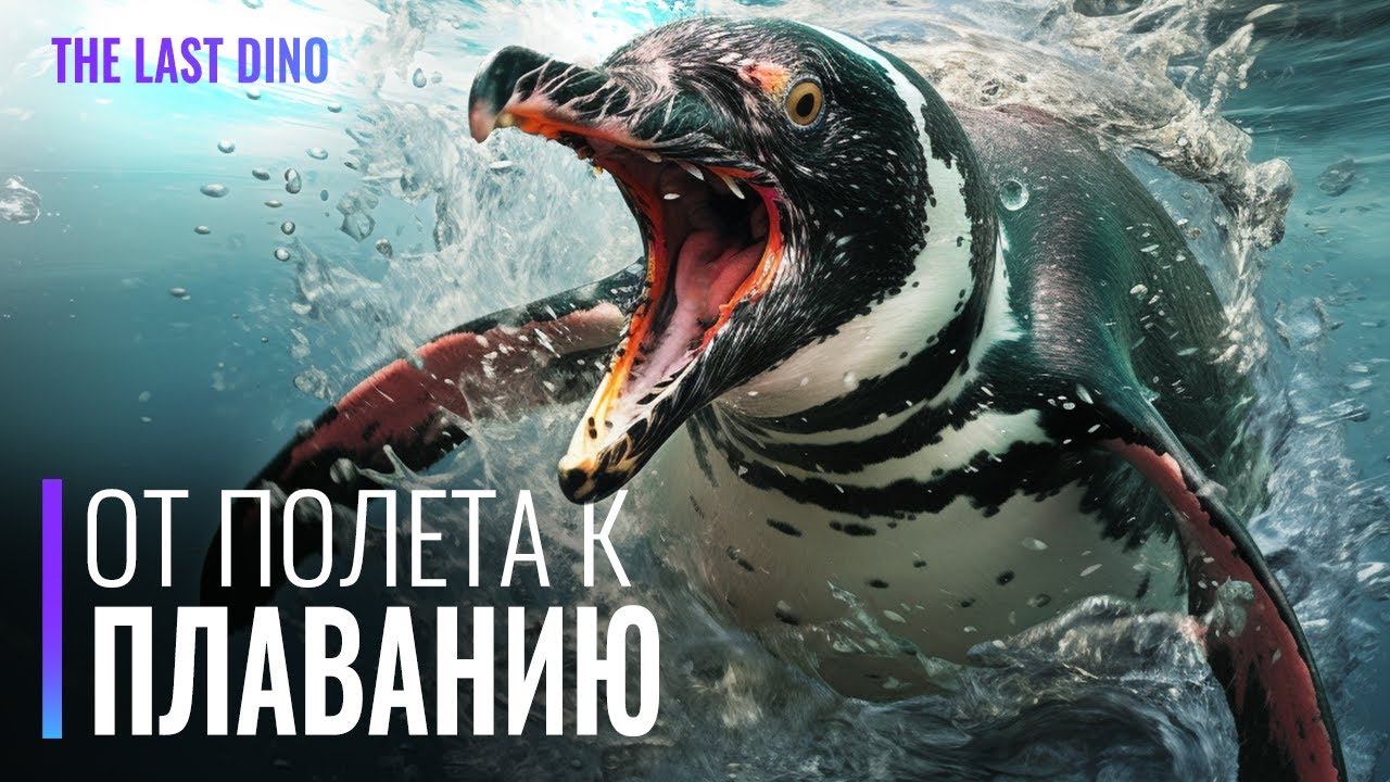 Как Пингвины перешли с Небес в Океан? Самые древние пингвины гиганты смотреть онлайн