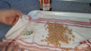 Микрозелень из нута