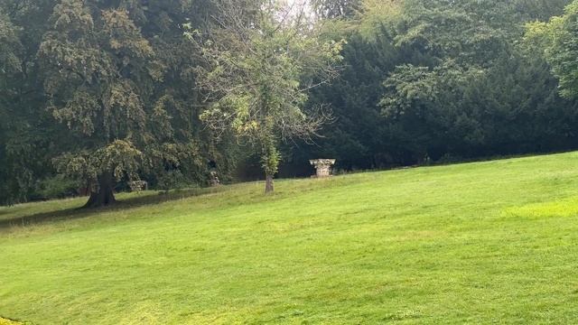 Vlog 412 - Заброшенный Английский сад- Clandon park смотреть онлайн