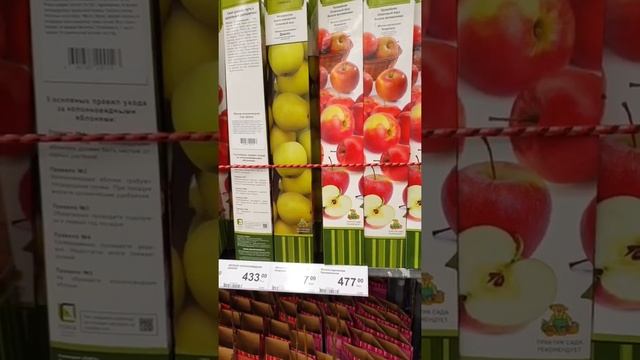 Леруа Мерлен. НОВИНКИ! Саженцы плодовых деревьев, Розы в коробках, Саженцы Роз и многое другое!! ! смотреть онлайн