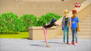 Леди бак и супер кот. Приколы 2