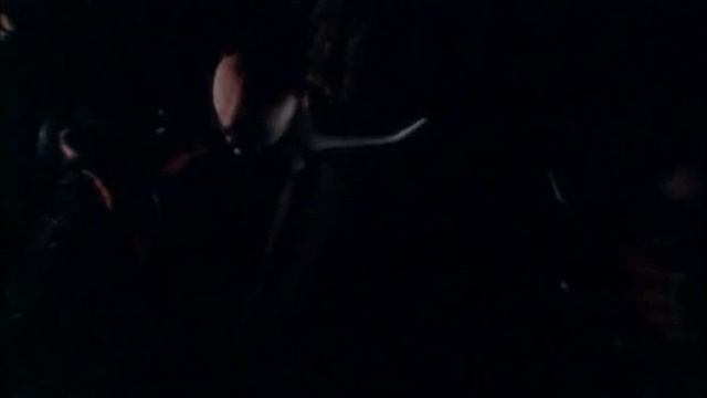 Про кота, Васю и охотничью катавасию