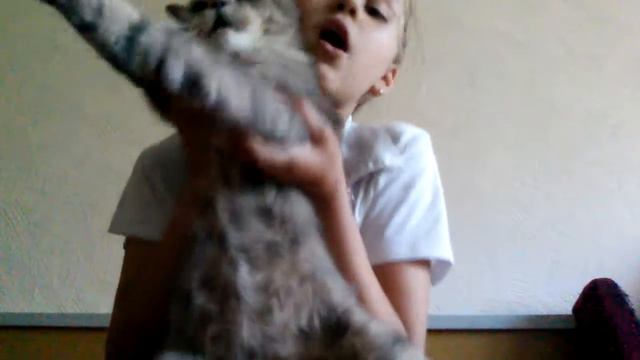 Мой котёнок сенька или мне купили кота смотреть онлайн