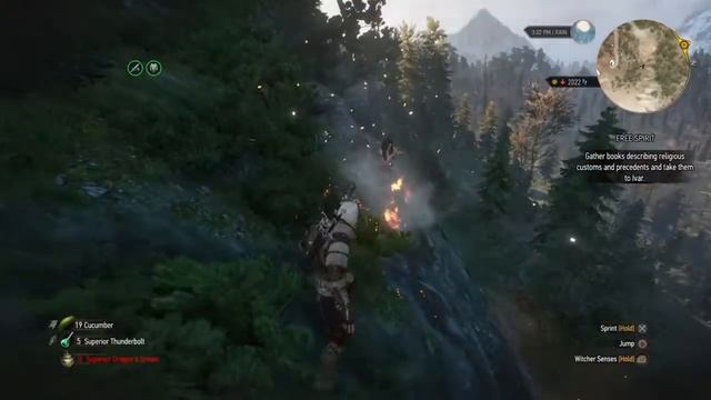 The Witcher 3 - Kill Succubus after not killing it смотреть онлайн