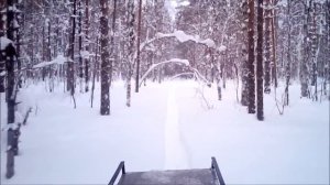 Мотобуксировщик "ОМИЧ" зима,тайга,снег.